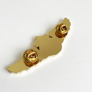 Литой под давлением 3D значок крыла позолоченный цинковый сплав сувенирные подарки для авиакомпании с акрилом - Product Image 5