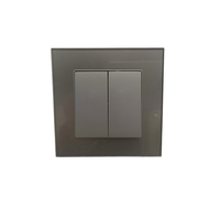 Wellsdiy - Interruptores y Enchufes Eléctricos de Pared de Alta Calidad, Estándar Europeo, Panel de Vidrio Moderno, 1 Grupo, 250 V, 16 A