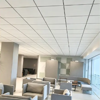 Panneau de plafond en laine de roche ignifuge 595x595mm 12-30mm insonorisant utilisé dans les salles de classe/laboratoires