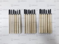 12 pièces bricolage couteau à découper sur bois général travail du bois couteau à découper ensemble dessiner Scorp gravure sur bois Kit d'outils à main début sculpteur ensemble