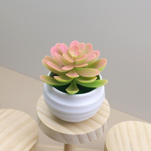 Macetas de Suculentas Artificiales de Plástico en Oferta, Decoración Linda para Centros de Mesa de Escritorio, Plantas Suculentas Artificiales - Product Image 5