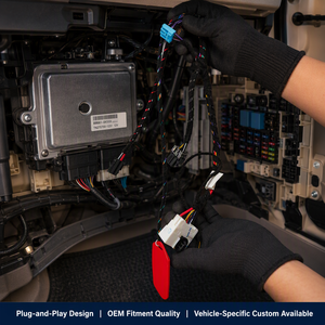 汽车线束 12V 24V 定制低压线束 OEM 制造商 IATF16949 RoHS 工厂直销 - Product Image 4