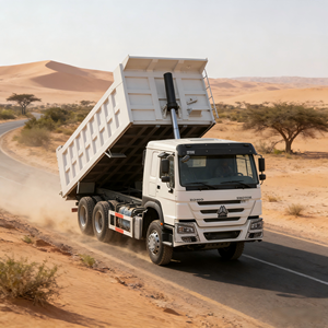 <span class=keywords><strong>Camion</strong></span> Ribaltabile HOWO 6x4 Economico ed Efficiente, con Garanzia e Supporto Post-Vendita Globale. - Product Image 5