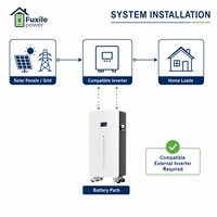 Batterie LiFePO4 15,36 kWh 51,2 V 300 Ah avec affichage LED intelligent, 6000 cycles, parallélisable, compatible avec Sofar, Pylontech, GoodWe, INVT