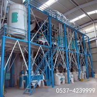 Moulin à maïs à moteur diesel Haiyun 380V, garantie 2 ans, longue durée de vie, usage commercial, 10 tonnes/h