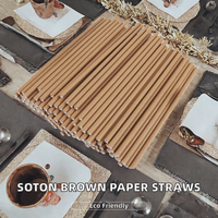 Pailles jetables en bagasse SOTON, pailles en papier brun biodégradables de qualité alimentaire, 200 mm, pour fêtes, Chine