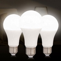Ampoules LED B22 E27 Décoratives pour la Maison Certifiées CE 3000K/6500K PBT+PC Aluminium IRC 80 Durée de Vie 25000 Heures Vente en Gros