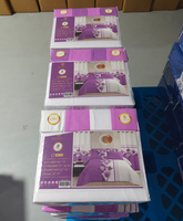 ODM/OEM Ensemble de 8 draps de lit avec rideaux assortis en stock, prêt à être expédié