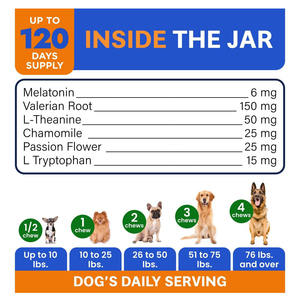 OEM/ODM Yüksek Proteinli Tahılsız Evcil Hayvan Besin Takviyeleri Çift Etkili Mide-Bağırsak Sağlığı Önleyici Mide Probiyotiği - Product Image 5