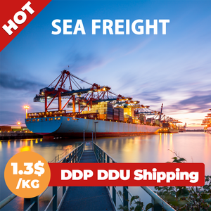 Agente de Envío Profesional DDP DDU, Transitario de Carga Aérea y Marítima desde China a Todo el Mundo - Product Image 3