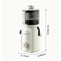 350W DC Elektrische Slow Cold Press Heavy Duty Sapcentrifuge Multifunctionele Smoothie Maker 2.5L RV Klaar voor gebruik Voeropening Knopbediening Hoge Zuigkracht