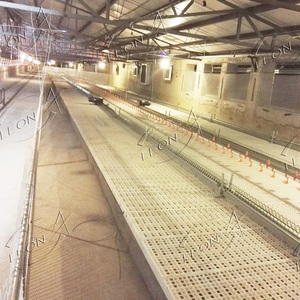 Attrezzatura Automatica per l'Alimentazione del Pollame a Prezzo Conveniente per Allevatori - Product Image 2