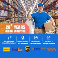 Speditionsunternehmen Tür-zu-Tür Seefracht in die USA Schiffsfracht Logistikservice Transport FBA Versandagentur