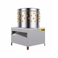 Weiyan plumeuse automatique de poulet en acier inoxydable prix d'usine ferme avicole abattoir