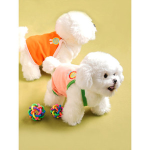 T-shirt e cappotto in stile classico per animali domestici in poliestere traspirante x e S taglie per cani e gatti - Product Image 1