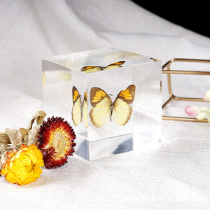 Cubo de Acrílico Transparente con Especímenes de Insectos, Decoración de Cristal con Estampado Animal, Regalo de San Valentín, Colección de Adornos - Product Image 3