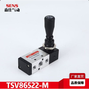 Válvula de Control Direccional Neumática Manual Personalizable TSV86522/98322-M, de Dos Posiciones y Cinco Vías para Aceite, Compatible con OEM - Product Image 5