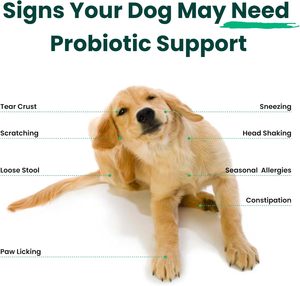 Probióticos para Perros con Prebióticos, Marca Privada OEM ODM, Promueve un Microbioma Intestinal Equilibrado, Refuerza la Salud Inmunológica, Masticables Blandos - Product Image 4