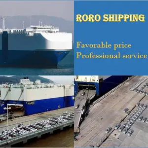 Roro/expédition en vrac de Chine au Chili Colombie camion/voiture et autre équipement logistique Roro Cargo