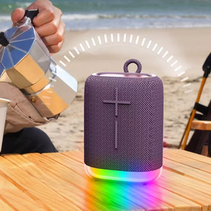 Piccolo Altoparlante Portatile da Campeggio con Versione in Inglese, Personalizzabile <span class=keywords><strong>per</strong></span> Più Lingue, <span class=keywords><strong>per</strong></span> Ristrutturazioni Smart Home - Product Image 1