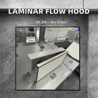 Meilleur nouveau purificateur d'air à flux laminaire avec filtre en boîte, doté d'une efficacité de 99,99 % et d'un matériau en fibre de verre