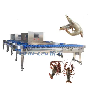 Usine vendant des écrevisses poids classificateur poisson crevettes fruits de mer pesage et tri machine