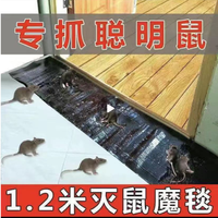 Grand piège à colle pour rat en gel super collant pour l'intérieur, l'extérieur du restaurant et la souris, efficace pour la lutte antiparasitaire contre les fourmis