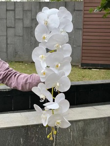 K-0080 कृत्रिम फूल orchid नारंगी नाव ऑर्किड प्राकृतिक रूप सफेद बड़े सिर लेटेक्स घरेलू सजावट के लिए वास्तविक स्पर्श ऑर्किड - Product Image 2