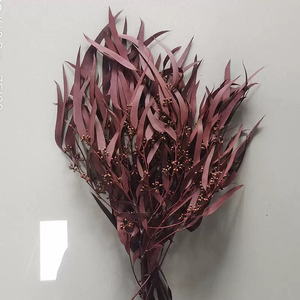 Feuilles d'eucalyptus séchées en gros d'usine 120g/lot, eucalyptus préservé et saule grainé pour arrangements floraux - Product Image 3
