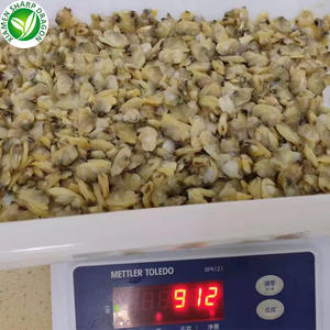 미식가 요리 모험을위한 쉘 프리미엄 품질의 해산물이없는 냉동 목 조개 고기 - Product Image 4