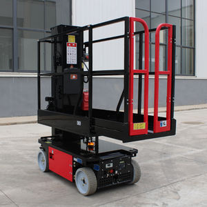 Instalación de Equipos de Gimnasio: Elevador de Mástil Vertical - Product Image 5