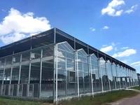 Invernaderos Tropicales de Policarbonato PC y Sistemas de Cultivo Hidropónico Comercial para Tomate, Lechuga y Fresa