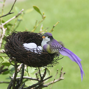 Différentes tailles d'herbe naturelle vigne rotin canari nids de perroquet nids à couver pour oiseaux pinson - Product Image 5