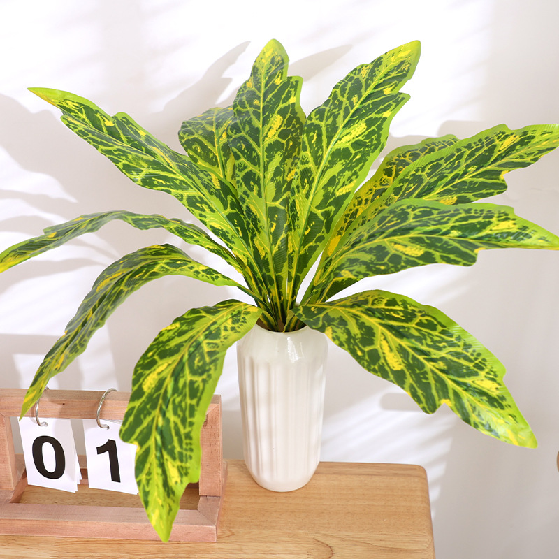 ใบยูคาลิปตัส