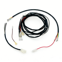 Arnés de cableado para portalámparas de coche personalizado con conector moldeado y cables terminales
