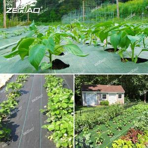 Tianzehao-rouleaux <span class=keywords><strong>de</strong></span> papier plastique, produits agricoles, Film <span class=keywords><strong>de</strong></span> 50 m, pour mariage en PP vert, fabrication <span class=keywords><strong>de</strong></span> bâche <span class=keywords><strong>de</strong></span> chine - Product Image 2