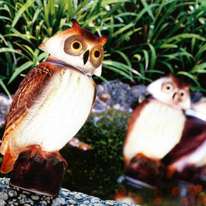 Led Landschap Verlichting Ip65 Waterdicht Licht Roterende Kop Vogel Afstotend Realistische Valk Lokaas Tuinbeeld Schrik Vogels - Product Image 1