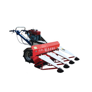 Cosechadora de Granos Pequeños, Mini Cosechadora de <span class=keywords><strong>Pimiento</strong></span>, Sésamo, Caña y Mijo, Multifuncional, con Motor de Gasolina/Diésel - Product Image 6