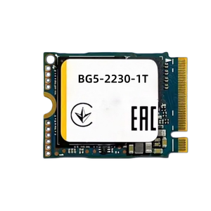Disque SSD pour serveur M.2 2230, disque SSD BG5-2230-1T - Product Image 1