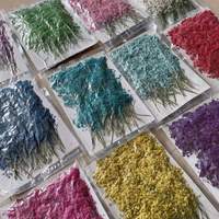 Fleurs de gypsophile séchées et pressées en gros pour l'art encadré, les spécimens, la décoration murale de la maison et les idées de cadeaux de mariage