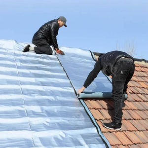 <span class=keywords><strong>Prix</strong></span> usine auto-adhésif isolation thermique plastique polymère Poe multicouche étanche Membrane <span class=keywords><strong>rénovation</strong></span> <span class=keywords><strong>de</strong></span> <span class=keywords><strong>toiture</strong></span> - Product Image 3