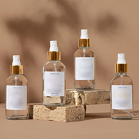 Bouteille pulvérisateur à brume fine continue personnalisée de 100 ml à 500 ml, vide et rechargeable, pour spray d'ambiance à l'alcool, vente en gros