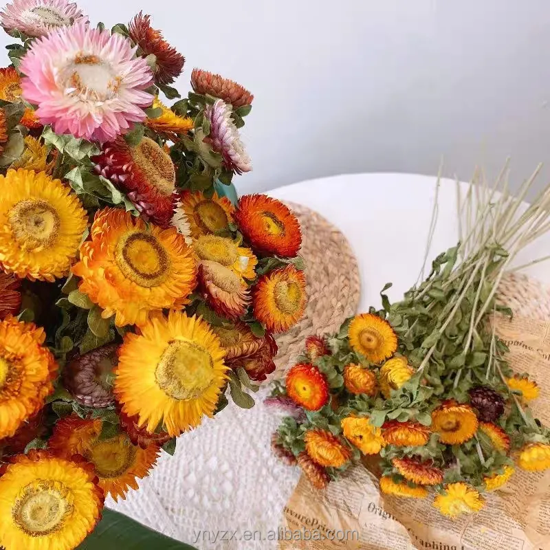 Atacado flores secas Arranjos De Casamento Decoração flor Margarida Flores Secas Abacaxi Crisântemo Helichrysum