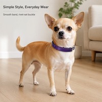 Ensemble collier et laisse en PU durable pour chats et chiens, réglable, anti-oscillation, style simple