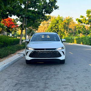 2025 BYD Qin Plus DM-i Coche Eléctrico de Cuatro Ruedas - Product Image 1