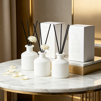 Bouteille en verre vide unique pour diffuseur, blanche, 50 ml, 100 ml, 250 ml, flacon pour bâtonnets de parfum pour diffuseur