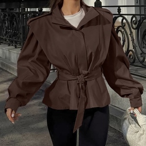 Nueva Colección Otoño/Invierno: Abrigo Largo de Mujer Estilo Commuter con Cinturón y Cuello Alto, Manga Larga, a la Moda - Product Image 5