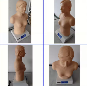 Modello 2026 in PVC per Auscultazione Cardiopolmonare, Manichino per Palpazione con Stetoscopio per Cuore e Polmoni - Product Image 3