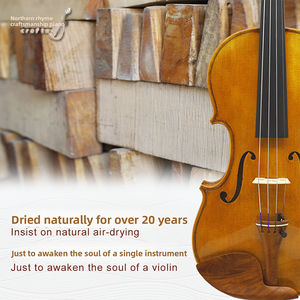 Violín para Estudiantes CHENTUO CT5.1, Juego de Violín 4/4 de Fábrica, Tapa de Abeto Macizo, Laterales de Arce, Diapasón de Ébano, Estuche, Tallado de Cien Días - Product Image 5