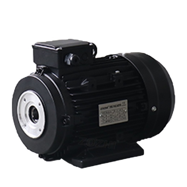 Triple Phase Motor With Hollow Shaft Frame 100  4kw